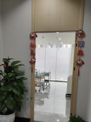 -碧莲盛·不剃发植发