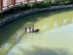 -泉州海丝野生动物世界