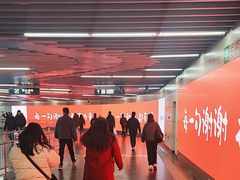-大望路(地铁站)