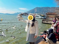 -呈贡滇池生态湿地公园