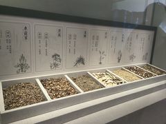 -中国湿地博物馆
