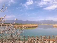 -野鸭湖国家湿地公园