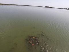 -武清南湖绿博园
