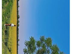 -汉长安城未央宫国家考古遗址公园