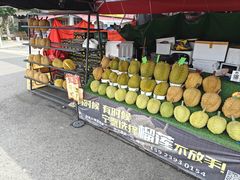 -双福水果批发市场