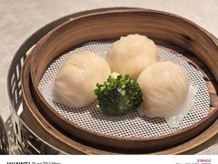 -南海渔村(珠江新城店)