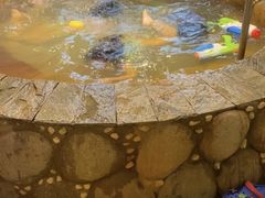 -北京美神宫艺术主题温泉酒店