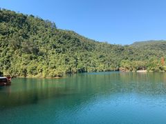 -鼎湖山风景区