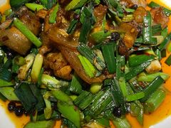 -陈麻婆豆腐(旗舰店)