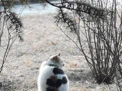 -中国农业博物馆