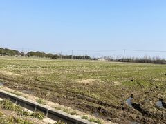 -嘉北郊野公园