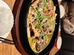 -老板恋上鱼(恒隆广场店)