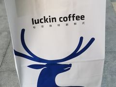餐具摆设-瑞幸咖啡(石榴中心店)