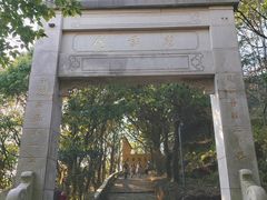 -雨花胜境
