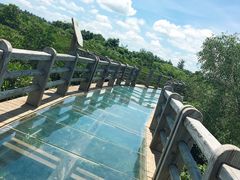 -东寨港红树林旅游区