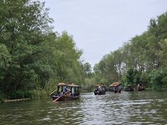 -溱湖国家湿地公园