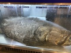 -御唐府海珊瑚主题餐厅