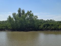 -东寨港红树林旅游区