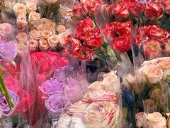 -循礼门鲜花花市(武汉循礼门店)