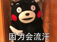 -海底捞火锅(璞丽中心店)