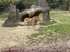 -杭州野生动物世界