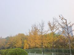 -北京园博大酒店