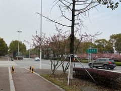 -阳澄湖半岛旅游度假区