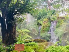 -Chom Cafe and Restaurant