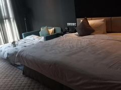 -常州环球恐龙城维景国际大酒店