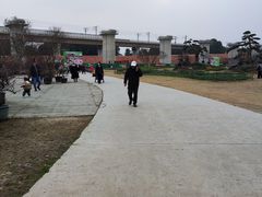 -秀丽东方