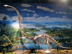 -自贡恐龙博物馆