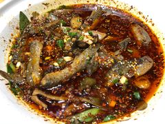 -情妹耙泥鳅·江湖川菜(科华店)