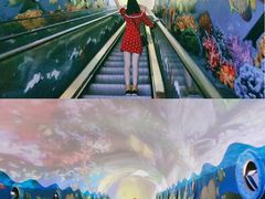 -成都浩海立方海洋公园