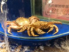 -海景壹号大酒店(滨湖店)