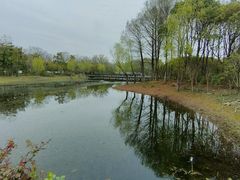 -长广溪湿地公园