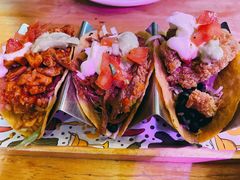 -Famous肥猫墨西哥音乐餐吧(五棵松华熙LIVE店)