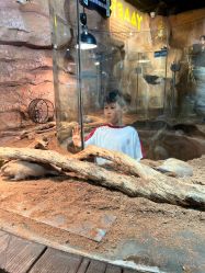 -Zoolung Zoolung动物主题公园(海信广场店)