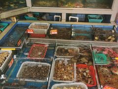 水产区-东江海鲜大排档·潮汕菜·砂锅粥