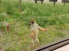 -石家庄市动物园