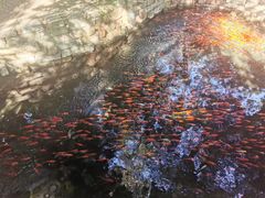 -水磨沟公园