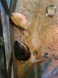 -酷嗒动物文化乐园(cutezoo西溪乐天城店)