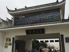 -金卉庄园