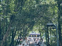 -成都老君山