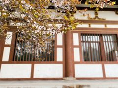 -西安青龙寺遗址景区