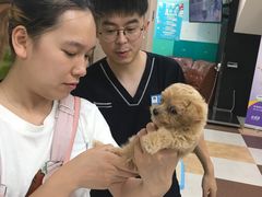 -奈斯宠物医院·核磁CT·异宠专科·内镜(中南店)