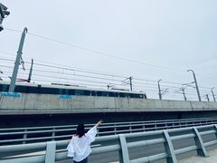 -海堤纪念公园