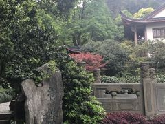 -十八棵（老龙井）御茶园(老龙井店)