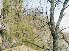 -洛阳白云山景区