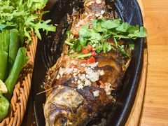 -鸽子窝(宋庄店)