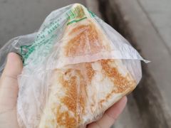 -四川农业大学(雅安校区)